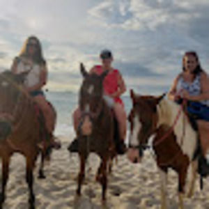 Meet your Posher, Donna